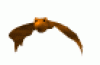 Animations - 238